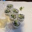 Ebi Tempura Roll ( 5 pcs )